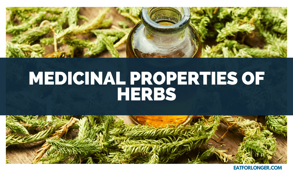 Medicinal Properties of Herbs