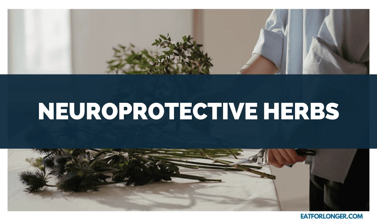 Neuroprotective Herbs