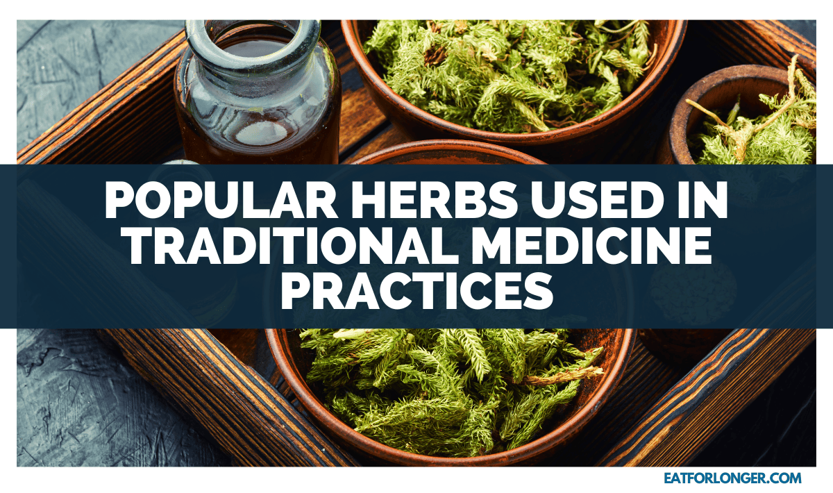 Popular Herbs Used in Traditional Medicine Practices