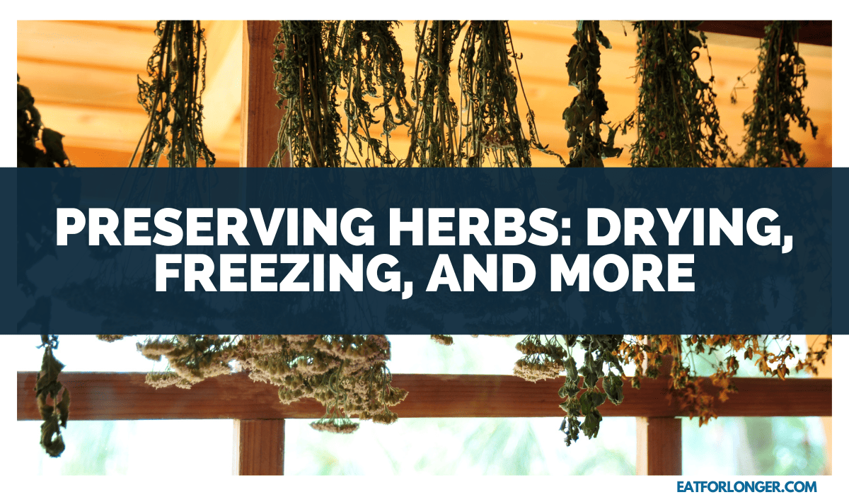 Preserving Herbs_ Drying, Freezing, And More