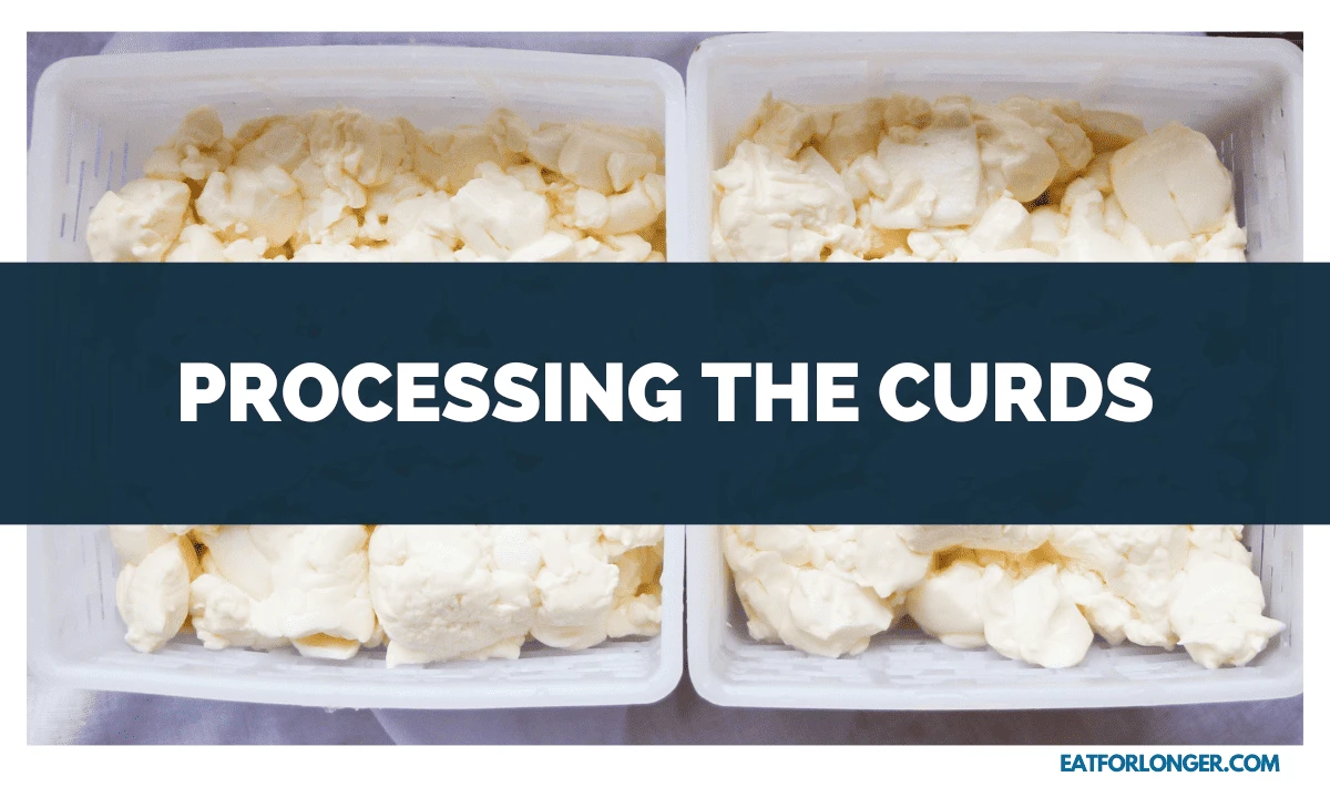 Processing the Curds