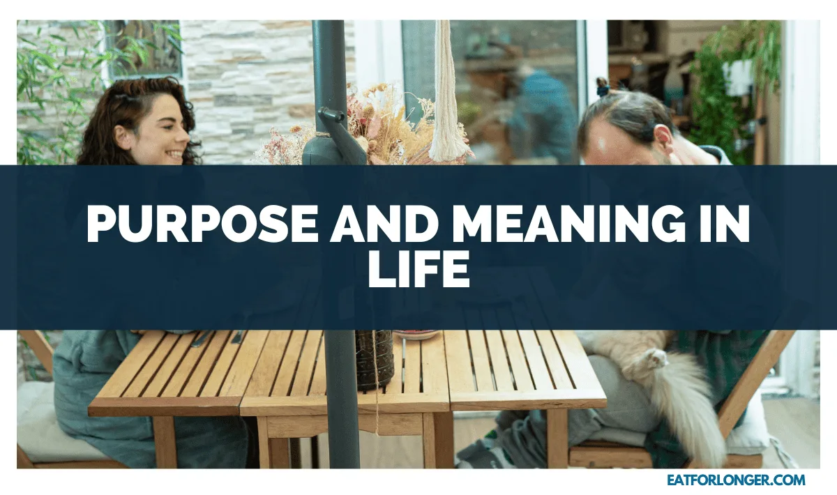Purpose and Meaning in Life