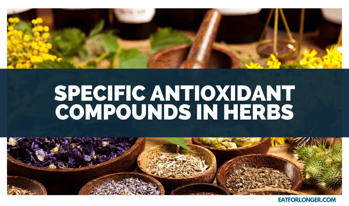 Specific Antioxidant Compounds in Herbs