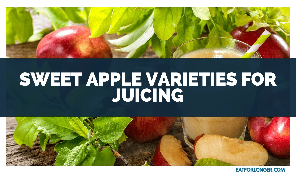 Sweet Apple Varieties for Juicing