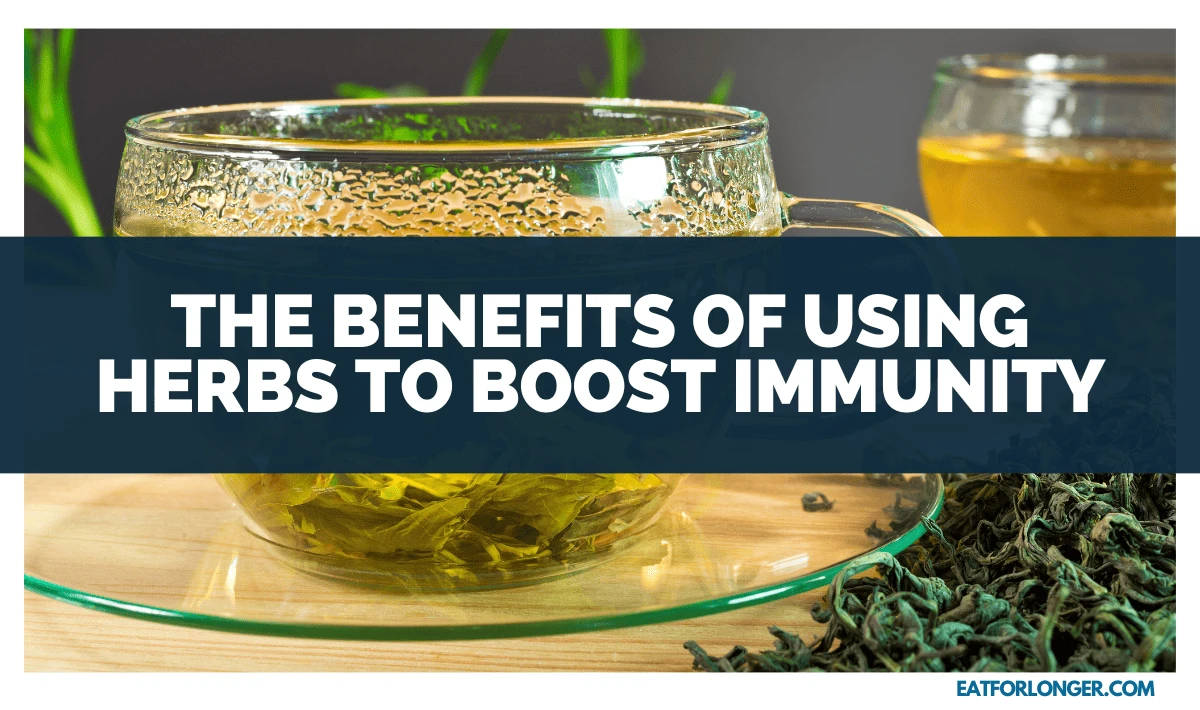 The Benefits of Using Herbs to Boost Immunity