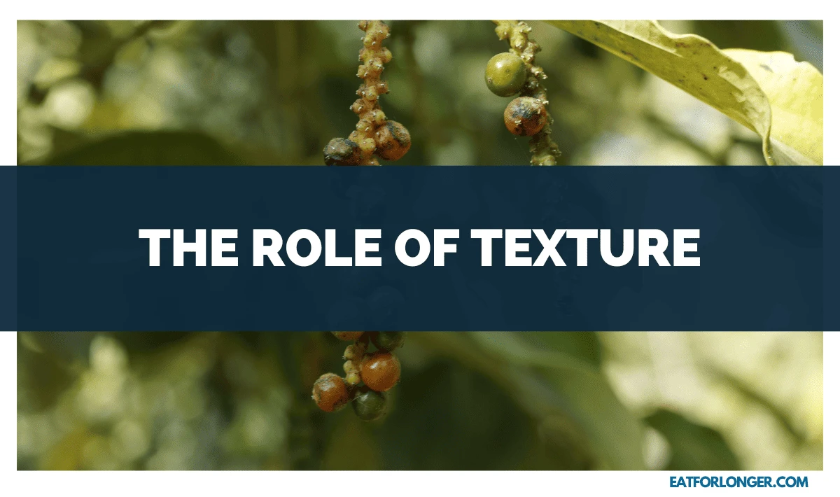 The Role of Texture