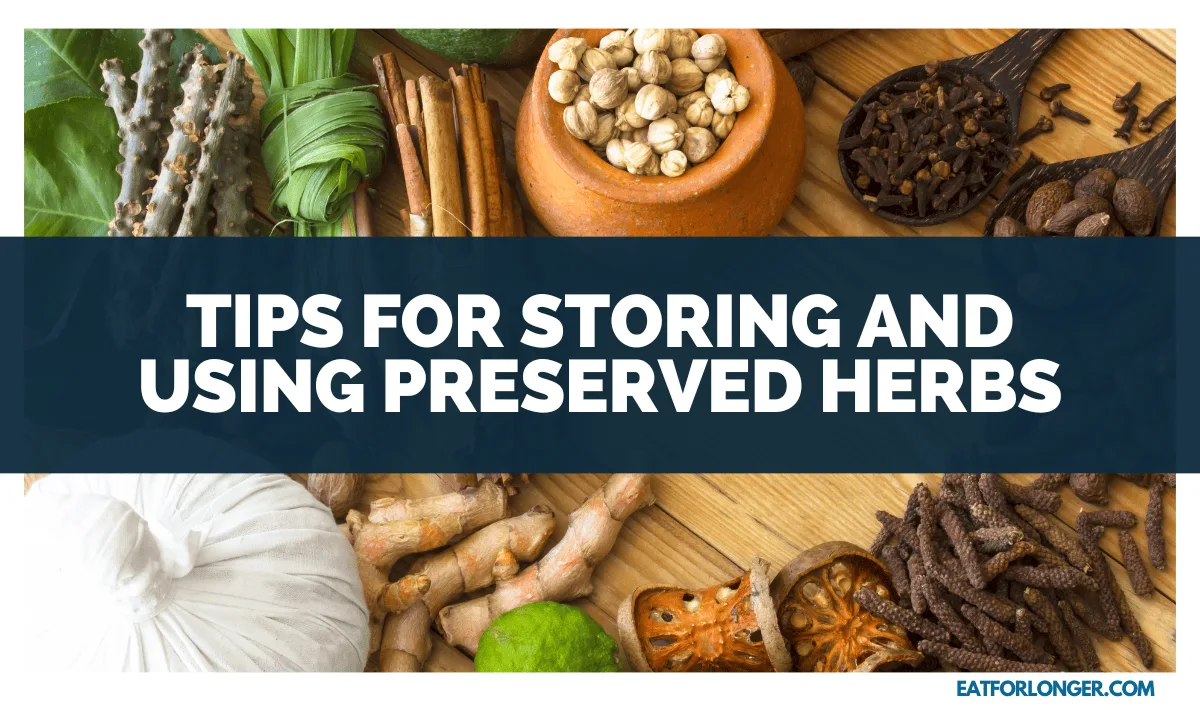 Tips for Storing and Using Preserved Herbs