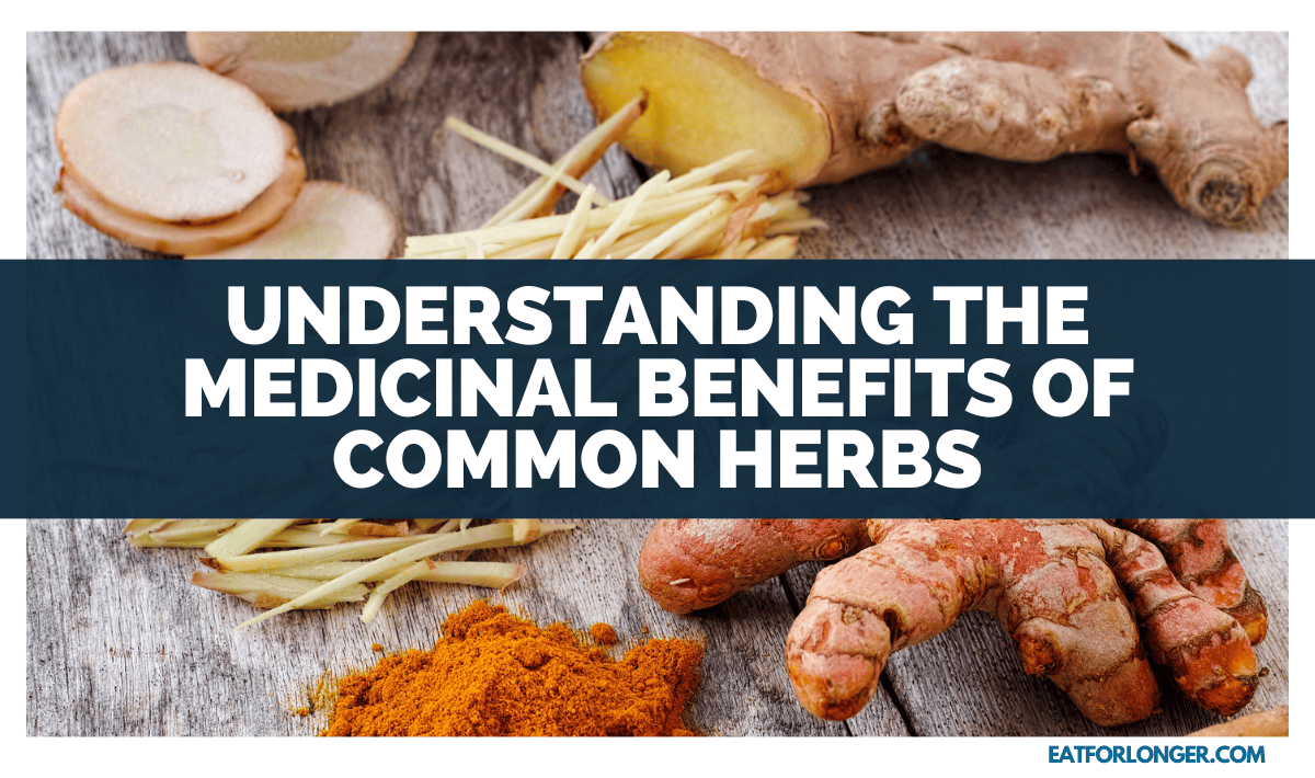 Understanding The Medicinal Benefits Of Common Herbs