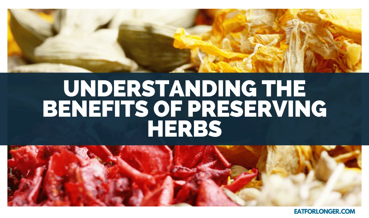 Understanding the Benefits of Preserving Herbs